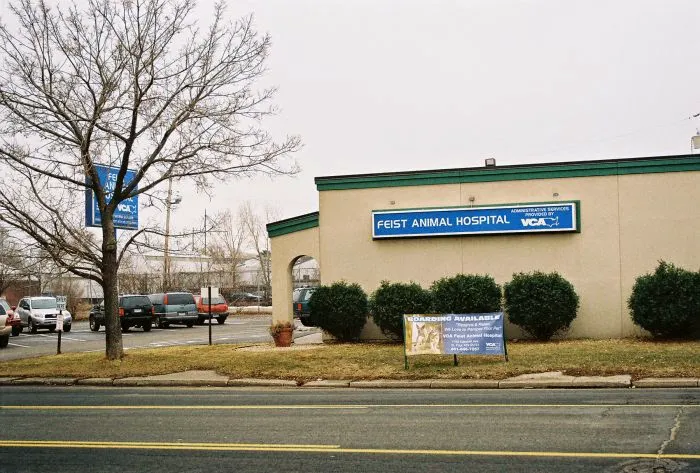 VCA Feist Animal Hospital Picture 5
