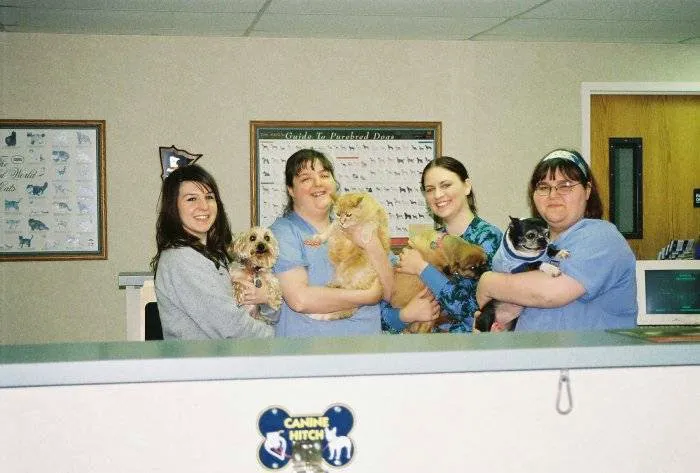 VCA Feist Animal Hospital Picture 6