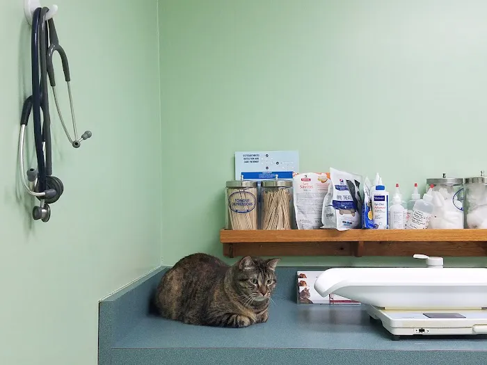 VCA Feist Animal Hospital Picture 9