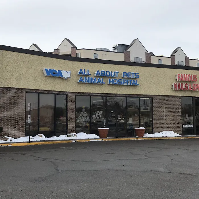 VCA All About Pets Animal Hospital Picture 3
