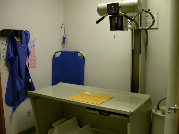 VCA All About Pets Animal Hospital Picture 5