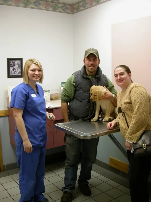 VCA All About Pets Animal Hospital Picture 8