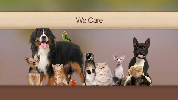 Golden Valley Animal Hospital Picture 4