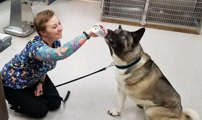 Golden Valley Animal Hospital Picture 5