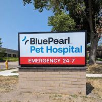 BluePearl Pet Hospital ico