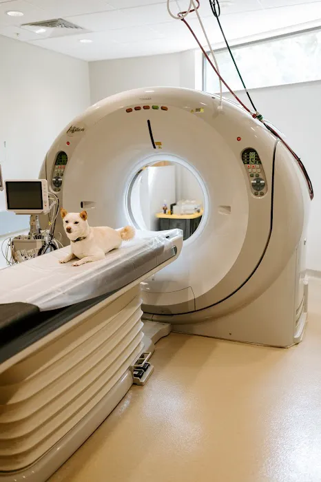 BluePearl Pet Hospital Picture 3