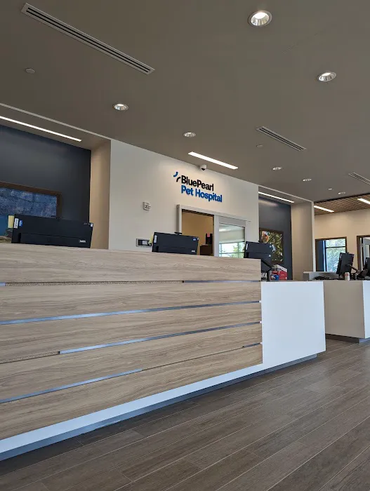 BluePearl Pet Hospital Picture 4