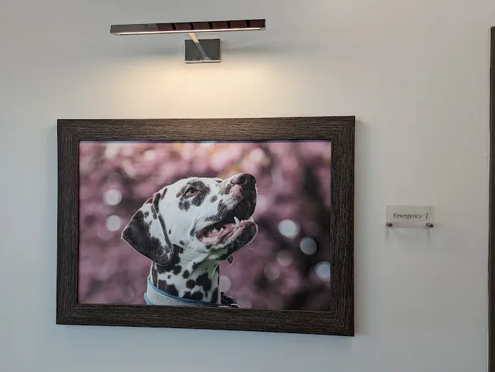 BluePearl Pet Hospital Picture 9