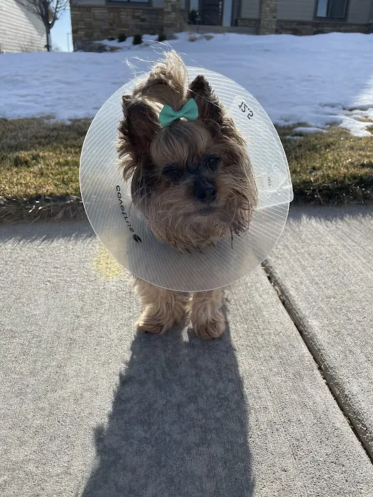 Veterinary Ophthalmology Specialty Practice Picture 1