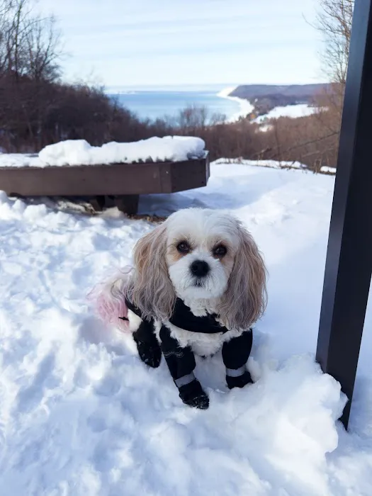 CVCA Cardiac Care for Pets Picture 7