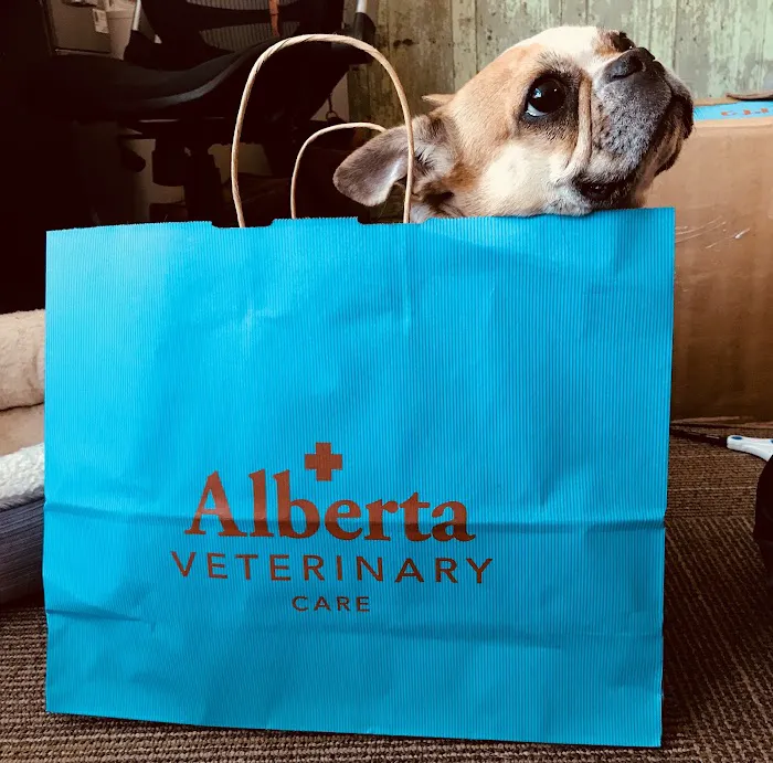 Alberta Veterinary Care Picture 7