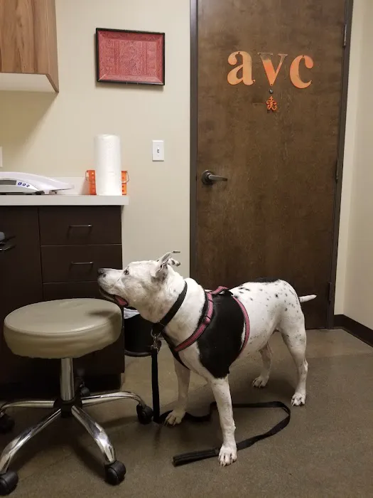 Alberta Veterinary Care Picture 10