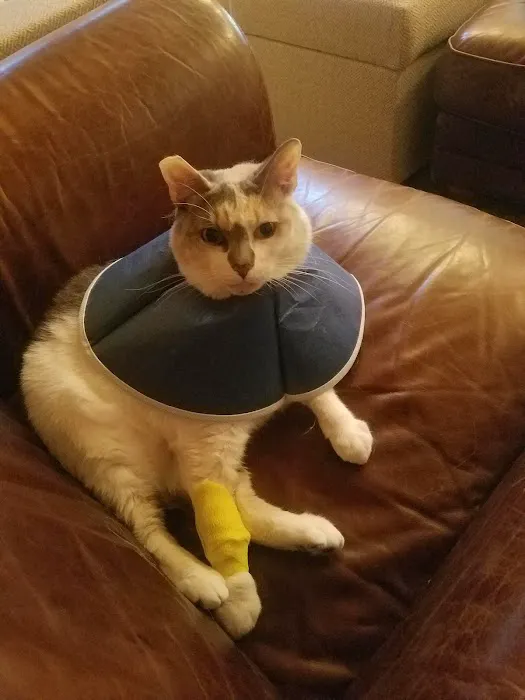 Banfield Pet Hospital Picture 7
