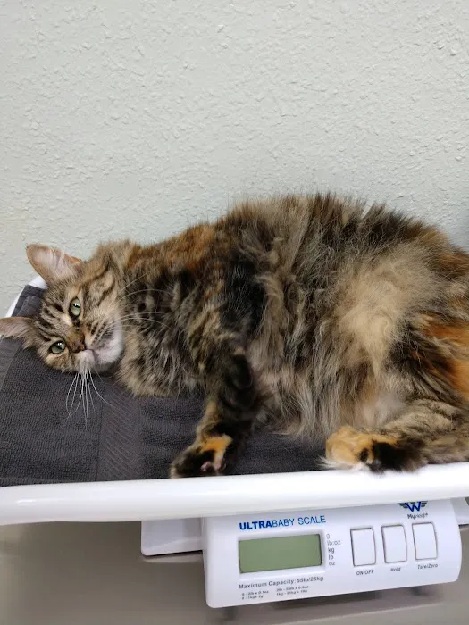 Lombard Animal Hospital Picture 1