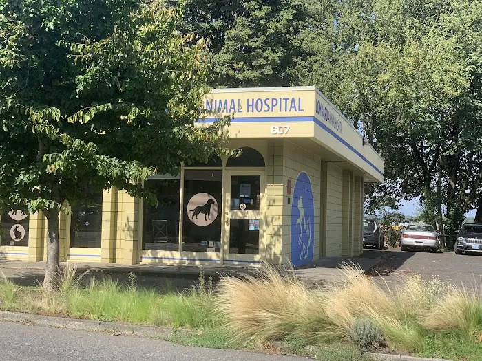 Lombard Animal Hospital Picture 5