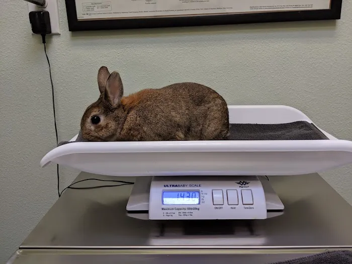 Lombard Animal Hospital Picture 10