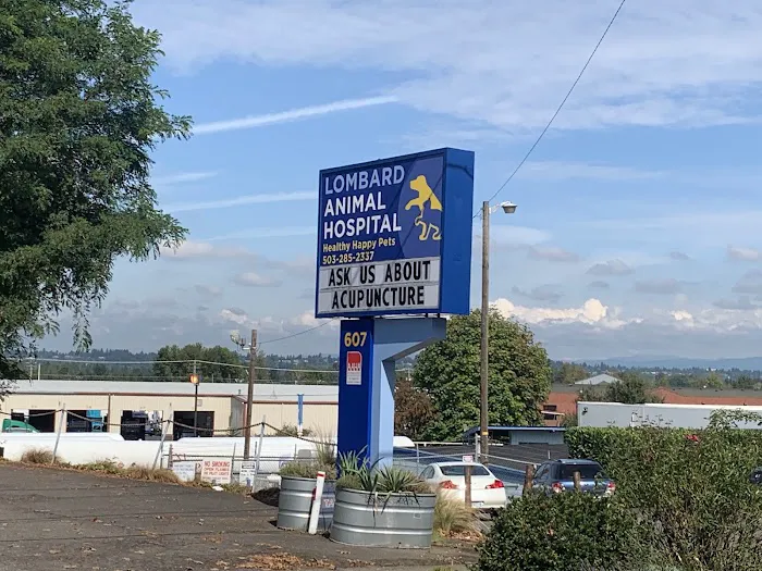 Lombard Animal Hospital Picture 8