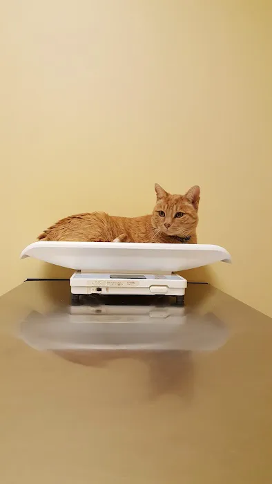 Gabriel Park Veterinary Clinic Picture 1
