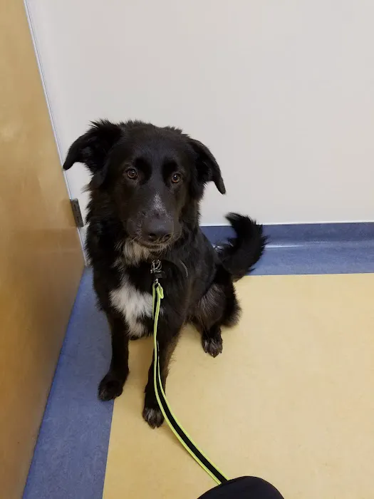 Gabriel Park Veterinary Clinic Picture 8