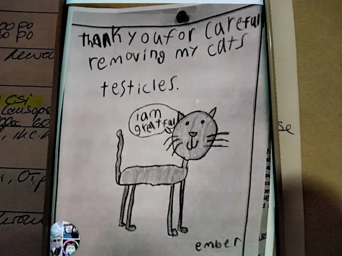 Gabriel Park Veterinary Clinic Picture 10
