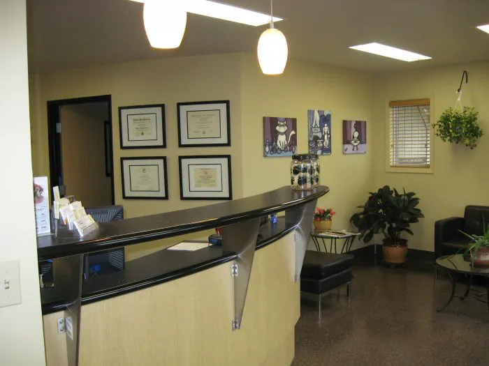 VCA Raleigh Hills Animal Hospital Picture 5