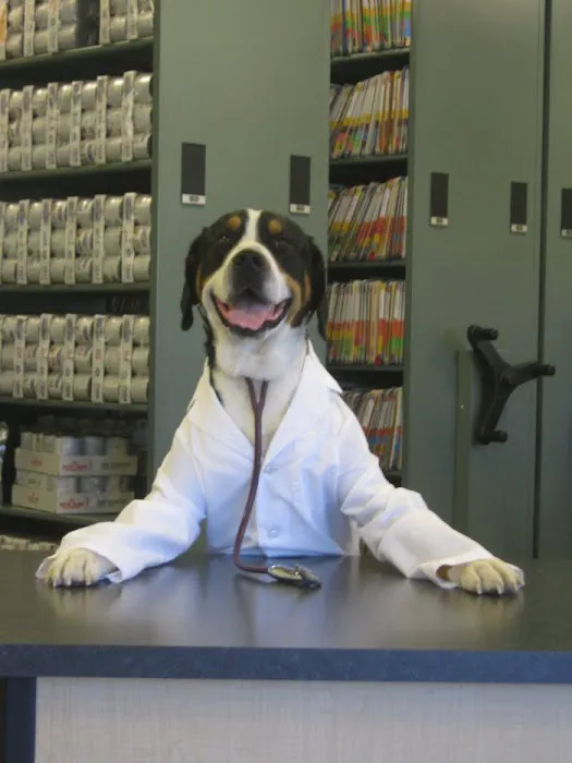 VCA Raleigh Hills Animal Hospital Picture 8