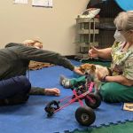 Back on Track Veterinary Rehabilitation Center, LLC