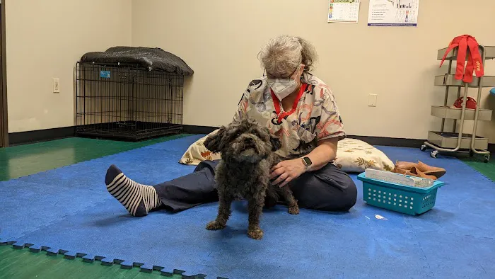 Back on Track Veterinary Rehabilitation Center, LLC Picture 2
