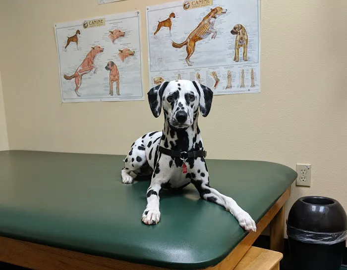Back on Track Veterinary Rehabilitation Center, LLC Picture 3