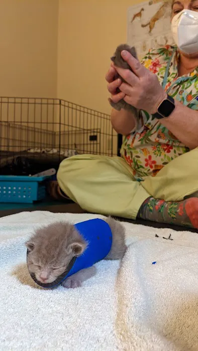 Back on Track Veterinary Rehabilitation Center, LLC Picture 8