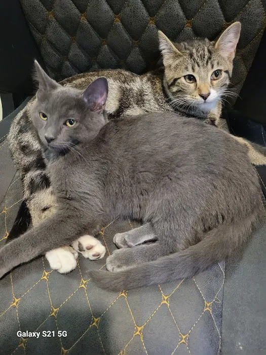 Pacific Veterinary Hospital Picture 10
