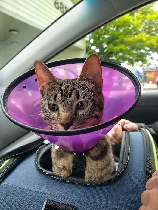 Vista Pet Hospital Picture 2