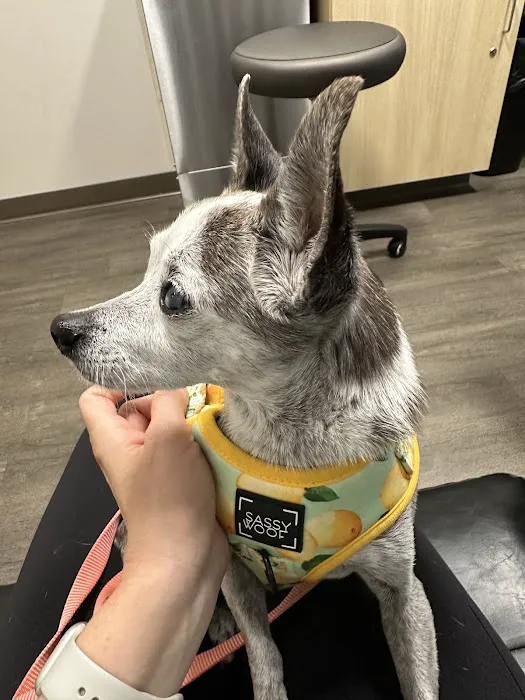 BluePearl Pet Hospital Picture 3