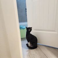 Oregon Humane Society - Community Veterinary Hospital ico