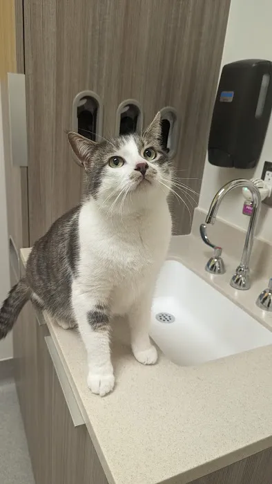 Oregon Humane Society - Community Veterinary Hospital Picture 2
