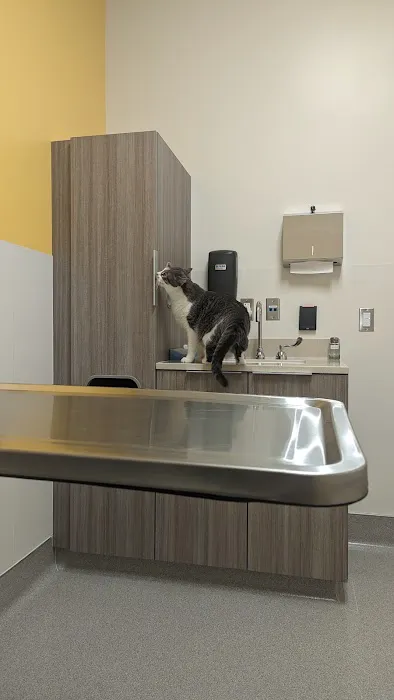 Oregon Humane Society - Community Veterinary Hospital Picture 6