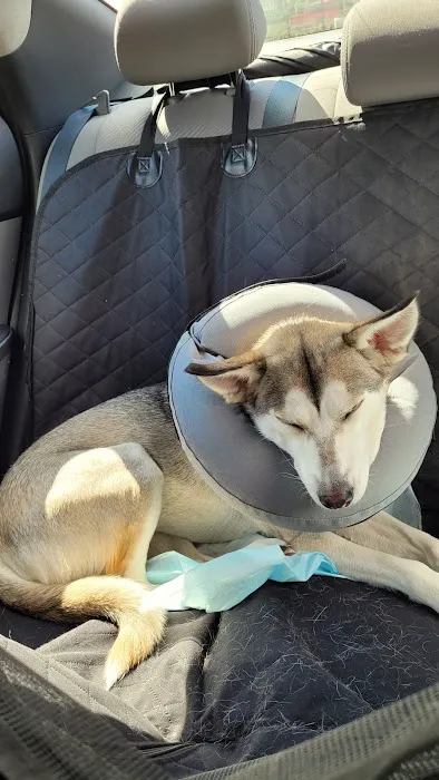 Oregon Humane Society - Community Veterinary Hospital Picture 9