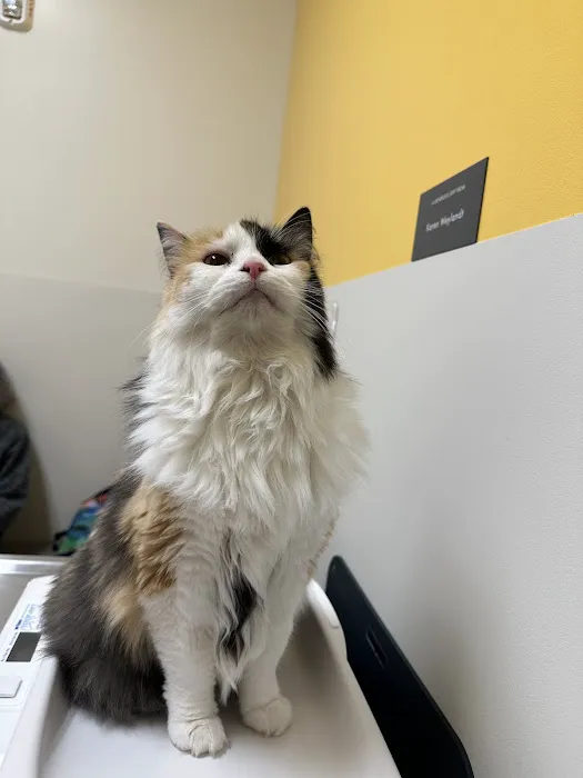 Oregon Humane Society - Community Veterinary Hospital Picture 10