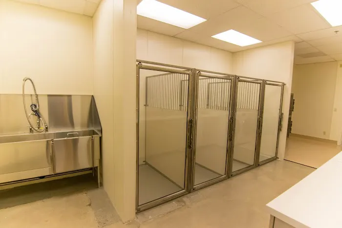 Compass Veterinary Clinic Picture 3