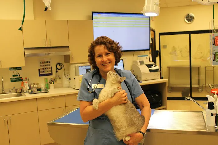 Compass Veterinary Clinic Picture 4