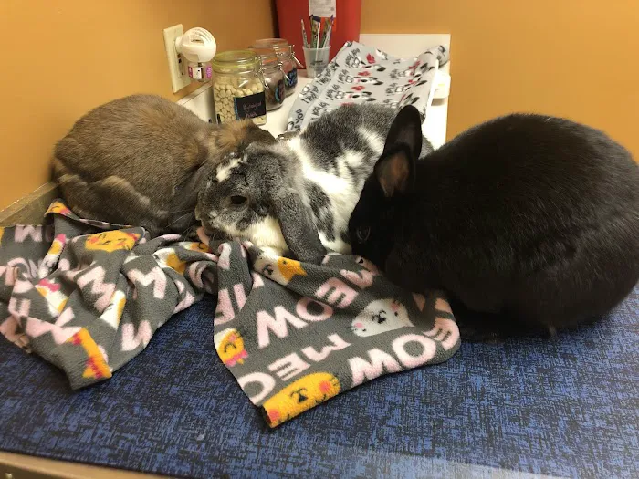 Compass Veterinary Clinic Picture 5