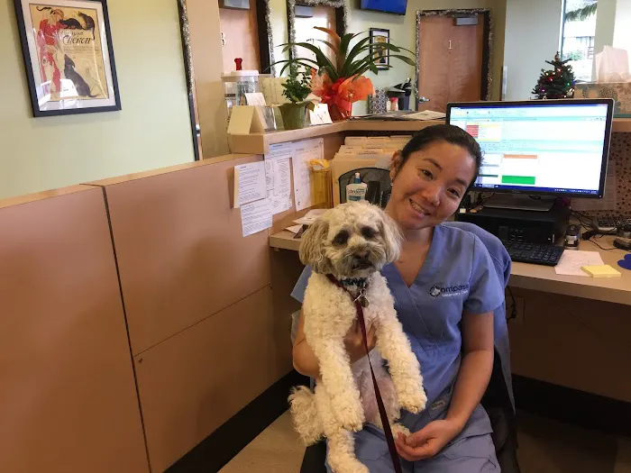 Compass Veterinary Clinic Picture 6