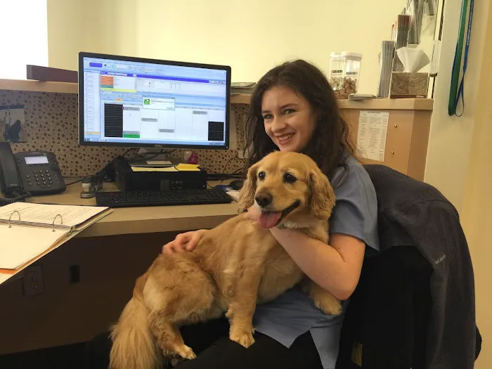 Compass Veterinary Clinic Picture 8