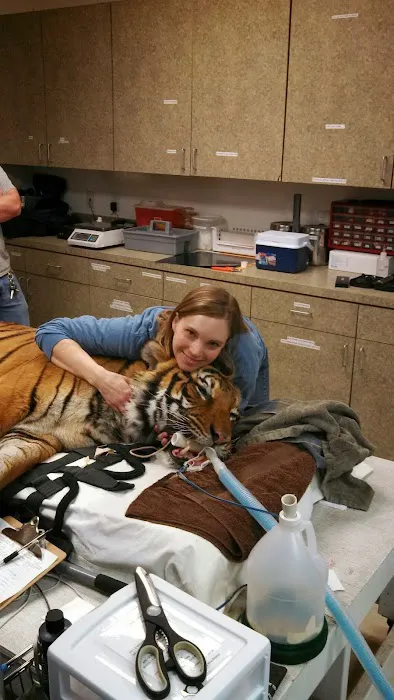 Compass Veterinary Clinic Picture 7