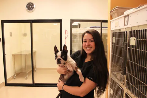 Compass Veterinary Clinic Picture 10