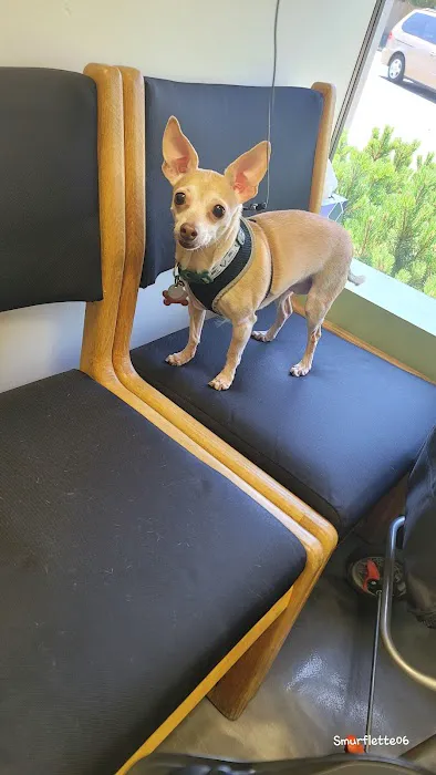 Peninsula Pet Clinic Picture 3