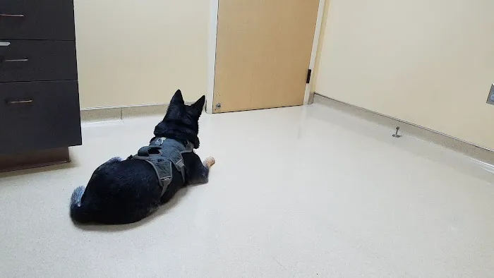 VCA North Portland Veterinary Hospital Picture 5