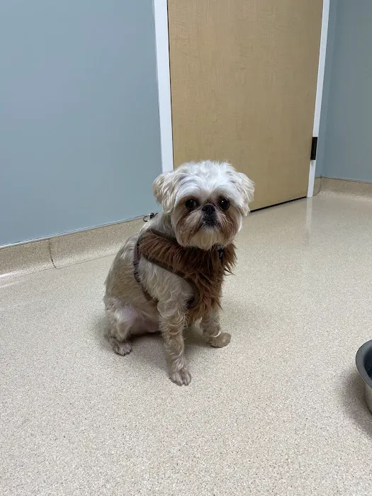 VCA North Portland Veterinary Hospital Picture 8