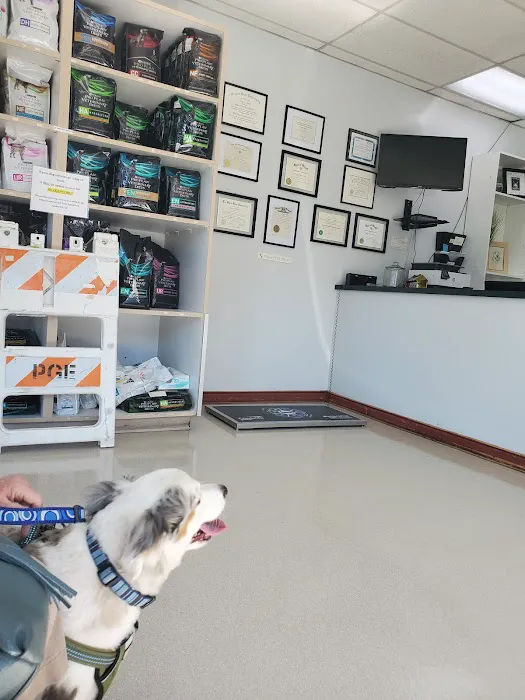 Hayden Meadows Pet Clinic Picture 5