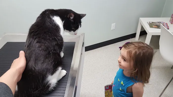 Mt. Scott Animal Clinic Picture 5